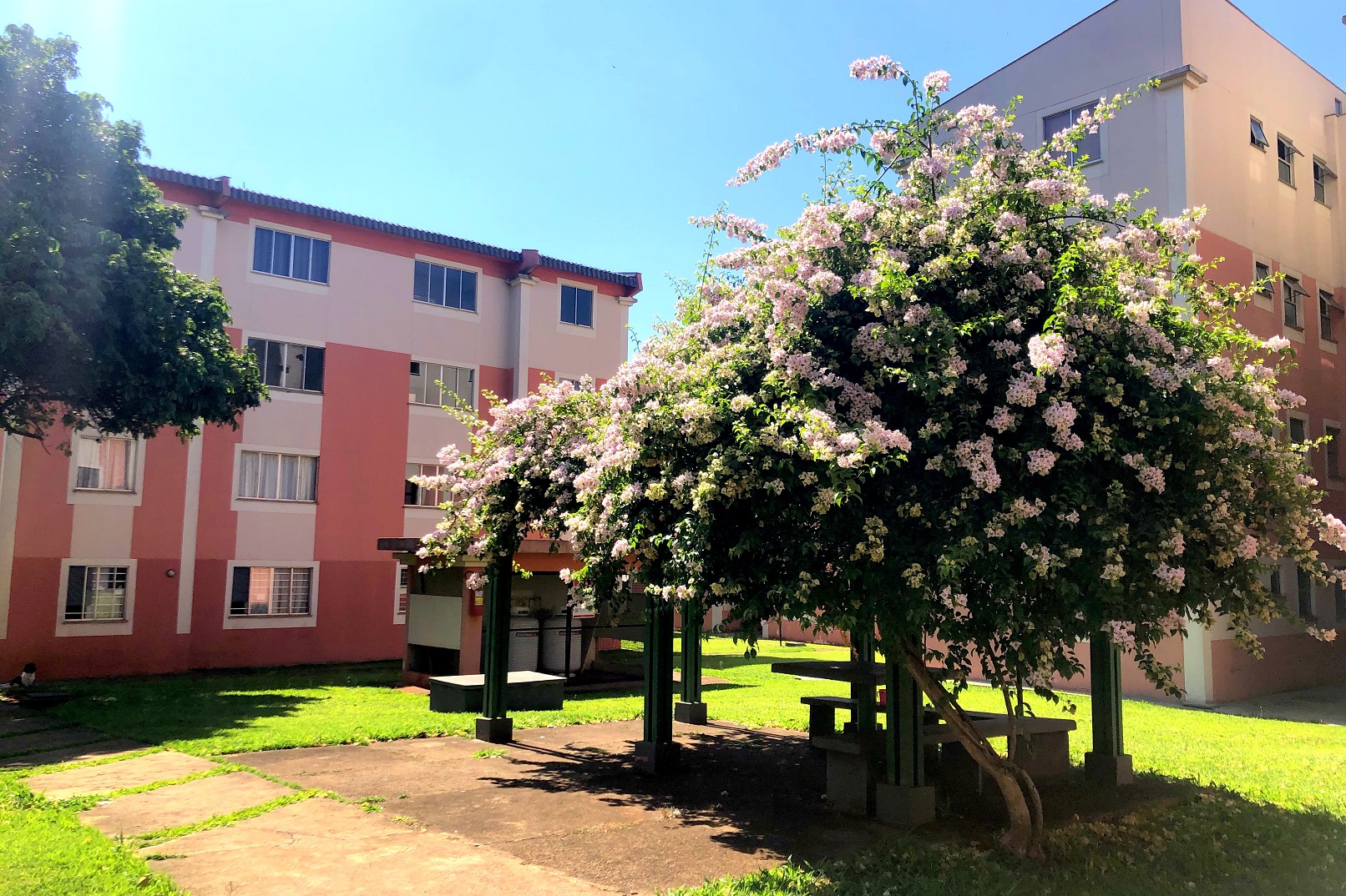 Imóveis à venda em Jardim das Americas, Londrina - PR, 86076